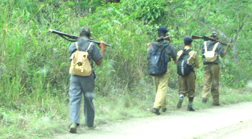 Members of Village Guards during a routine patrolling in Meluri area, under Phek district in Nagaland. (Morung Photo)